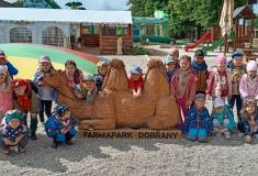 IMG_20250527_095217