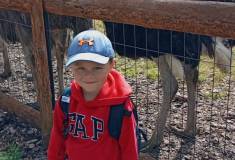 IMG_20250527_095922