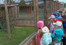 IMG_20250527_100218