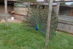 IMG_20250527_100328