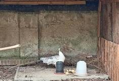 IMG_20250527_100427