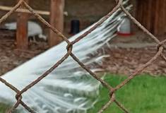 IMG_20250527_100452