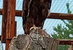 IMG_20250527_100738