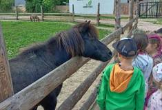 IMG_20250527_104422