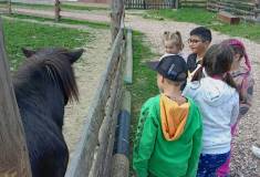 IMG_20250527_104427