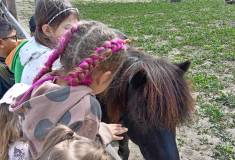 IMG_20250527_104521