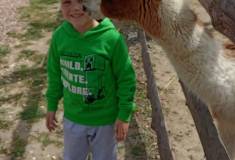 IMG_20250527_104617