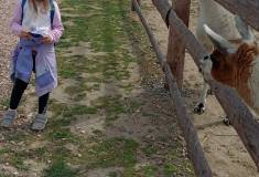 IMG_20250527_104633
