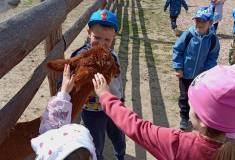 IMG_20250527_105559
