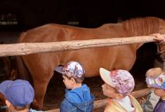 IMG_20220607_104159