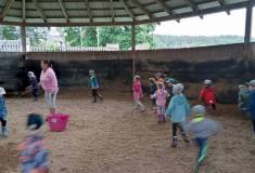 IMG_20220607_104403