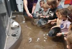 IMG_20220405_092039