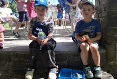 IMG-20260527-WA0008