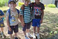 IMG-20260527-WA0021
