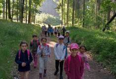 IMG_20220518_085601