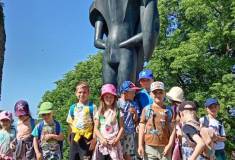 IMG_20260527_095552
