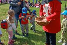 IMG_20240529_105152