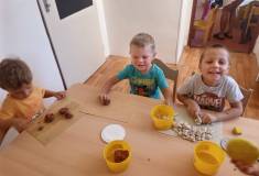 IMG_20230905_084255