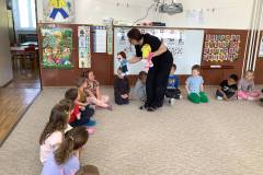 Zaměstnání, povolání