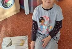 IMG_20260119_093904