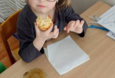 IMG_20260119_103420