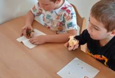 IMG_20260119_103427
