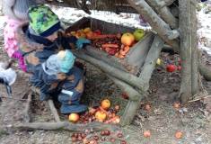 IMG_20260120_095906
