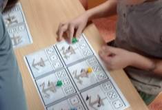 IMG_20260122_080127