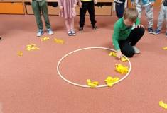 IMG_20260122_093126