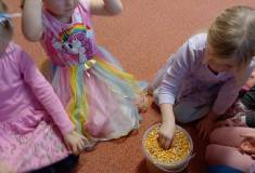IMG_20260122_095847