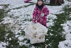 IMG_20230123_113343