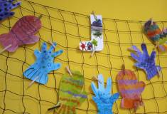 IMG_20230126_081313