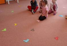 IMG_20260223_094434