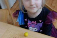 IMG_20260226_095141