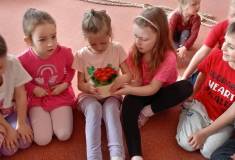 IMG_20260316_095001