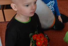 IMG_20260316_095120