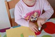 IMG_20260317_080553