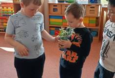 IMG_20260317_094115