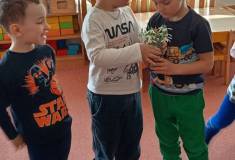 IMG_20260317_094123