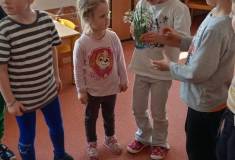 IMG_20260317_094142