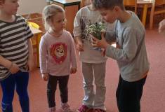 IMG_20260317_094144
