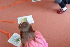 IMG_20260320_093721