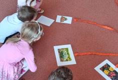 IMG_20260320_093728