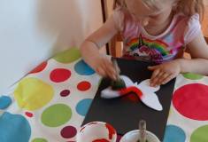 IMG_20260525_072201