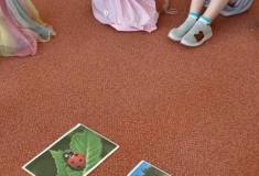 IMG_20260525_092333