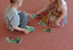 IMG_20260525_093303