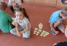 IMG_20260528_090218