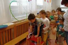 Zvířátka se chystají na zimu