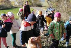 IMG_20221114_111802