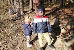 IMG_20221114_112303